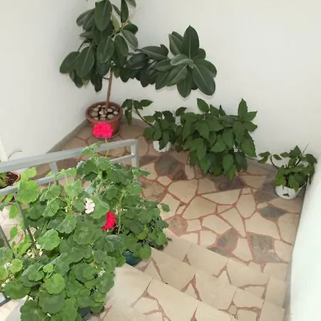 Ravlic ゲストハウス 3*